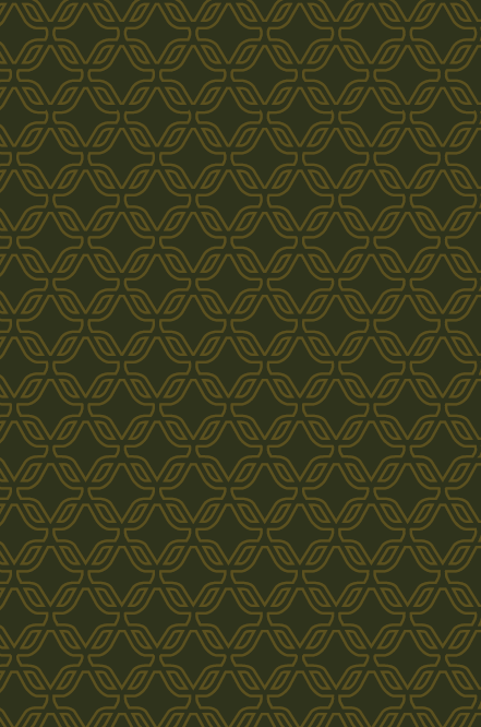 6007_0_back_med_#2F331C_#C59626